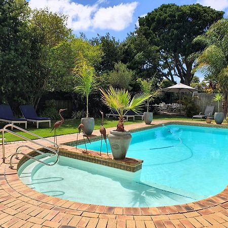 Wild Olive Guest House Cape Town Exterior photo