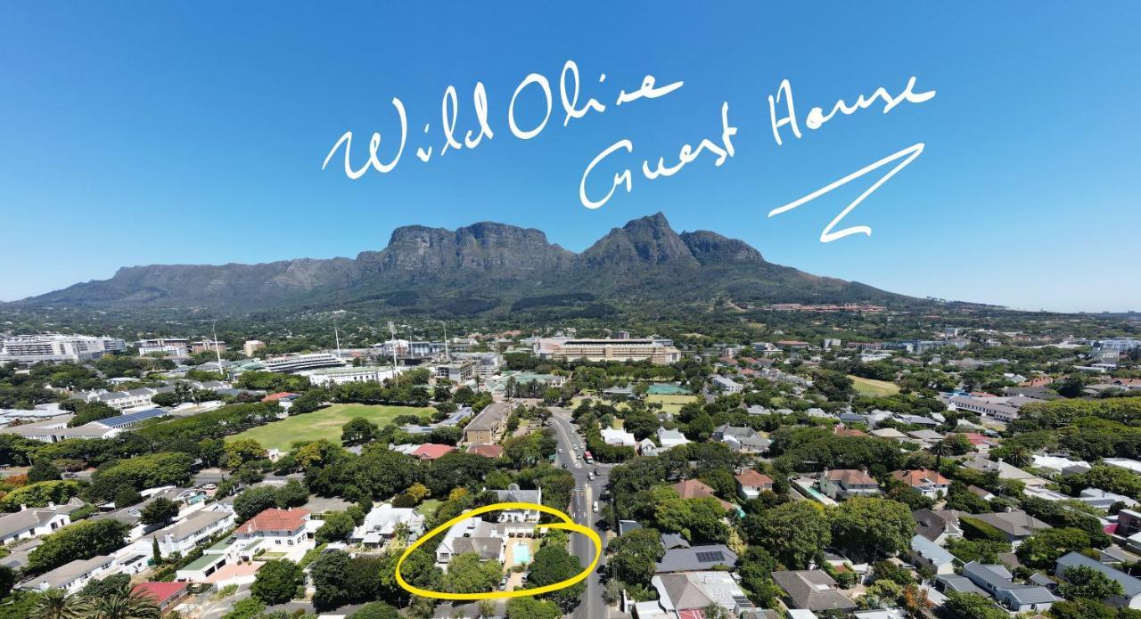 Wild Olive Guest House Cape Town Exterior photo