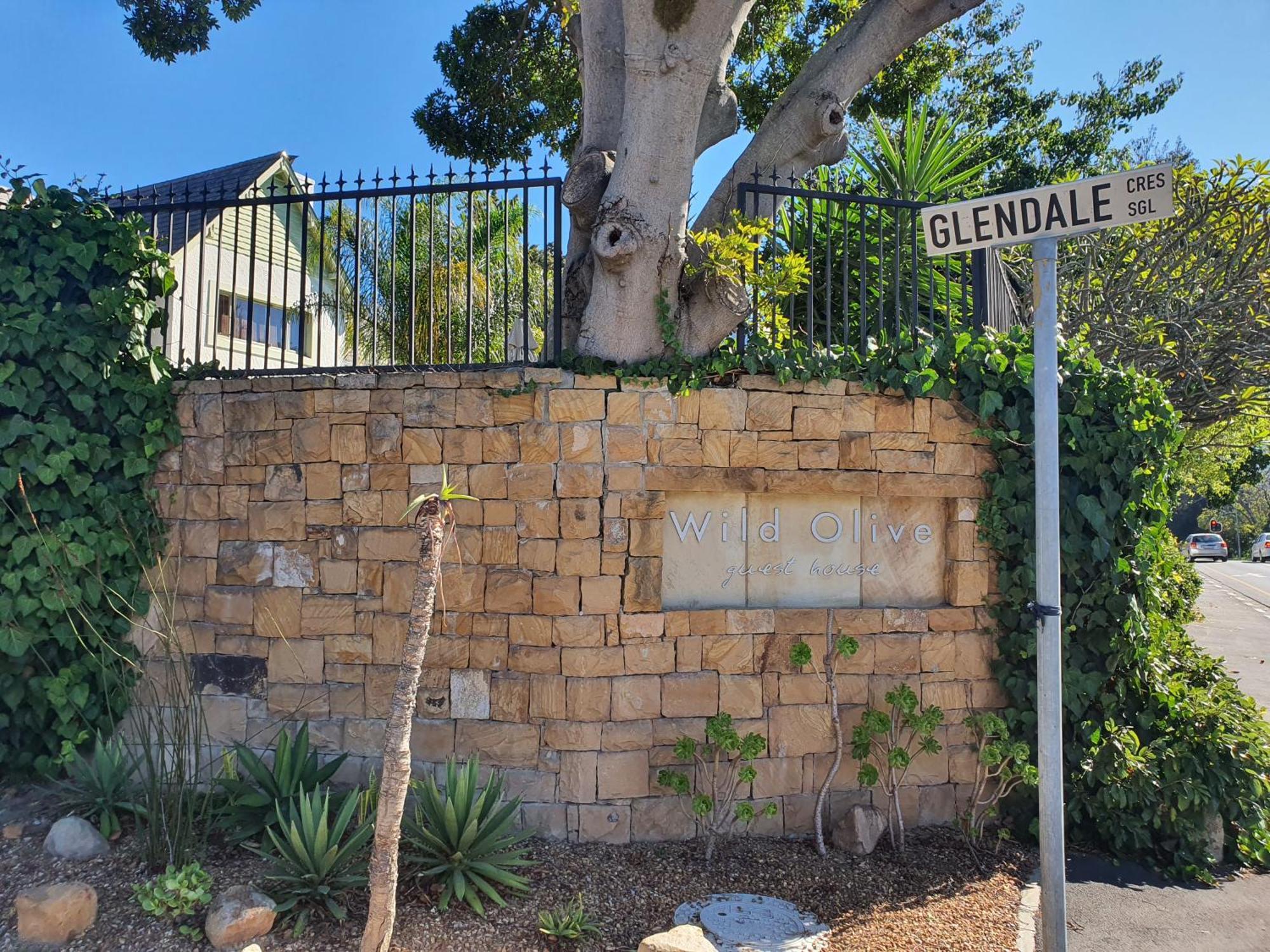 Wild Olive Guest House Cape Town Exterior photo