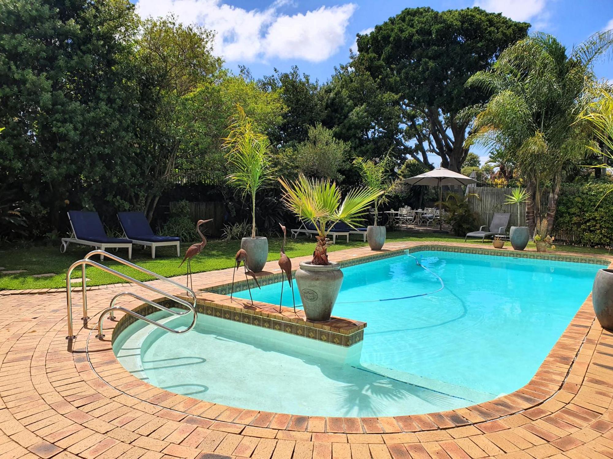 Wild Olive Guest House Cape Town Exterior photo