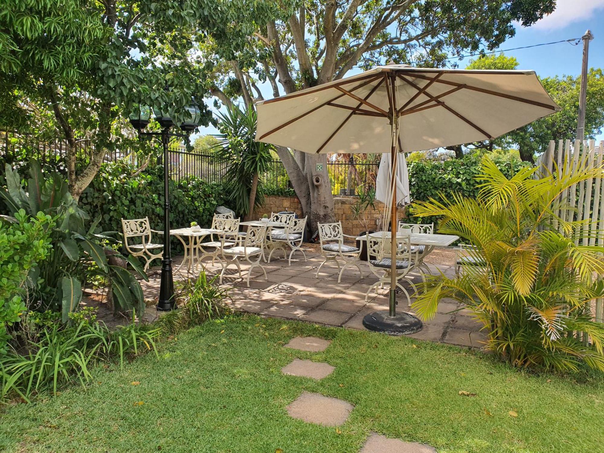 Wild Olive Guest House Cape Town Exterior photo