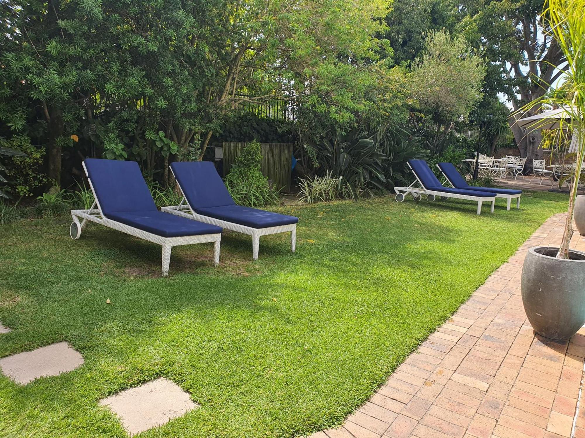 Wild Olive Guest House Cape Town Exterior photo