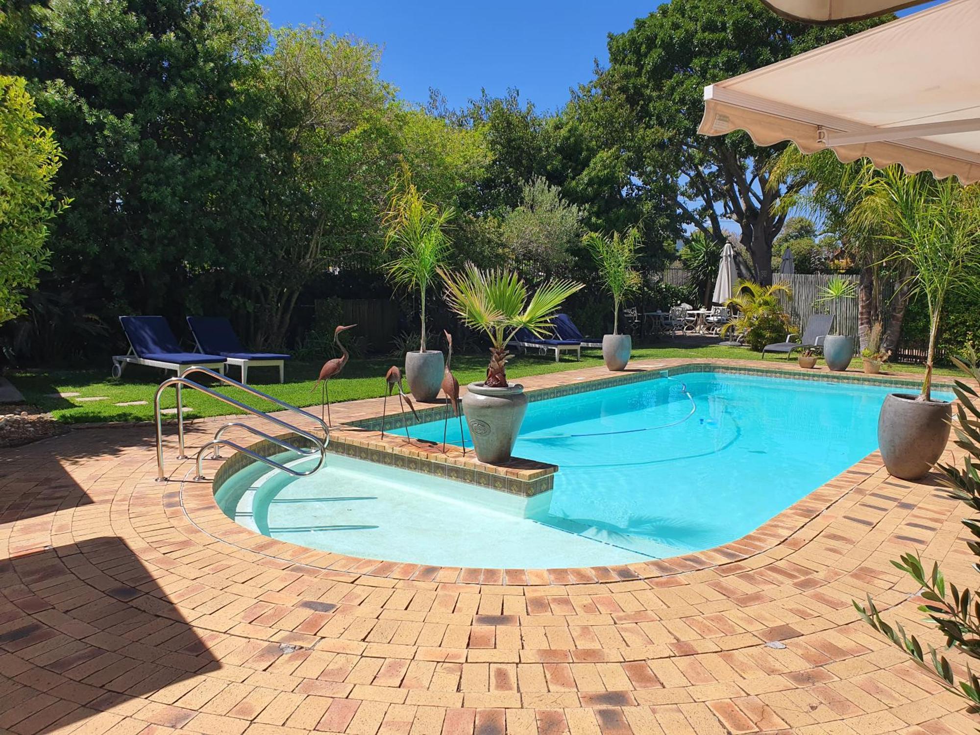Wild Olive Guest House Cape Town Exterior photo